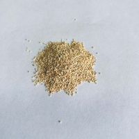 玉米芯磨料36#